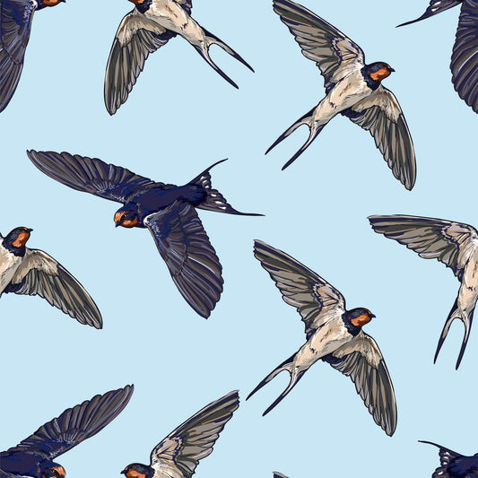 A beginners guide to birding