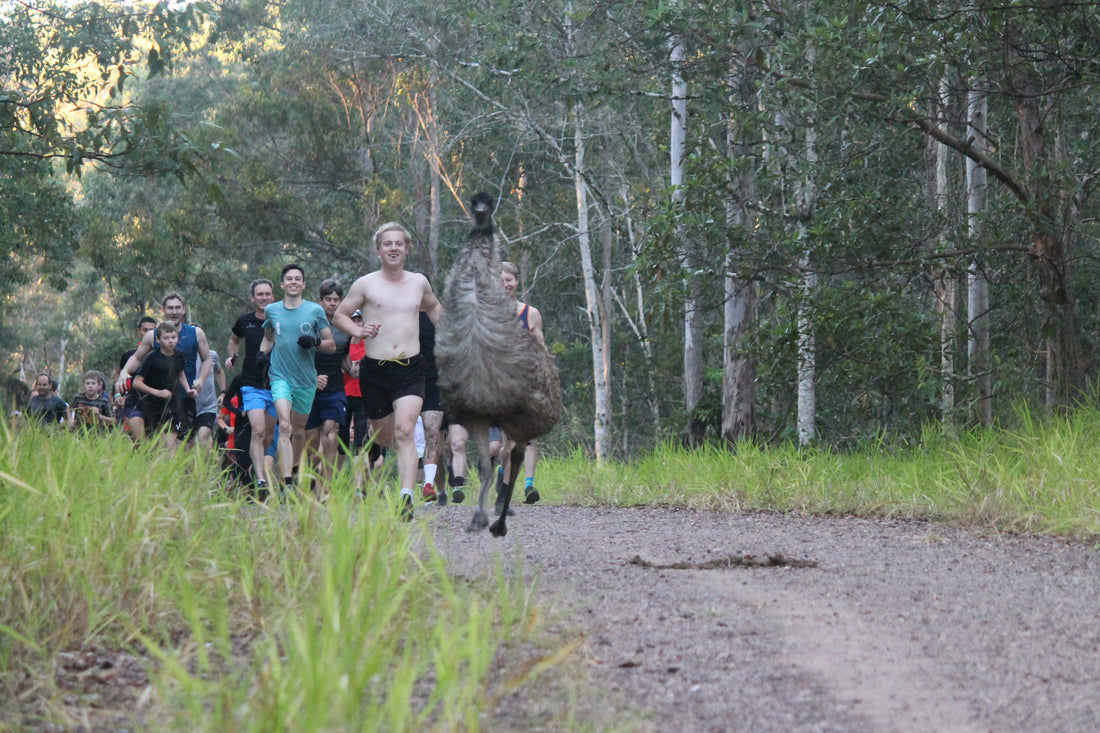 Meet Fluffy, Australia's trail running, selfie-loving, ear-biting emu