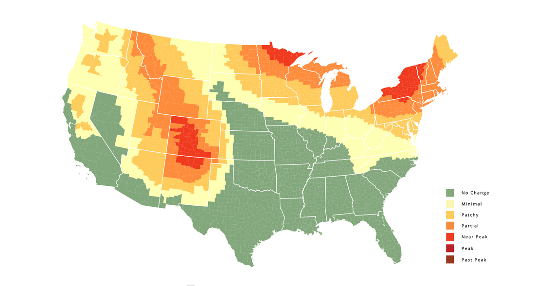 Check out this great fall foliage map, and plan your hikes accordingly