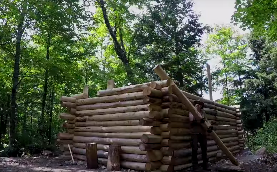 How to build a cabin in the woods – by yourself!