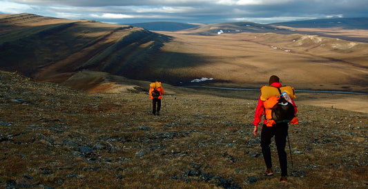Best Alaska Hikes: Explore the Last Frontier's Stunning Scenery on Foot