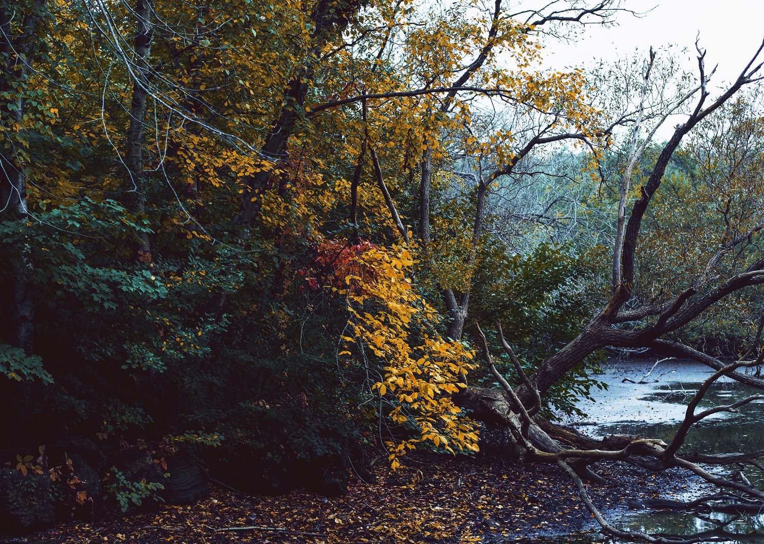 The best autumn hikes near Toronto