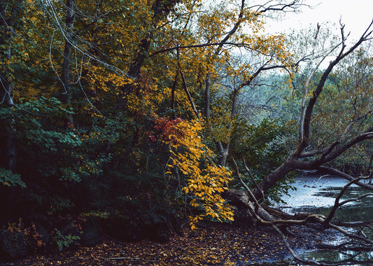 The best autumn hikes near Toronto