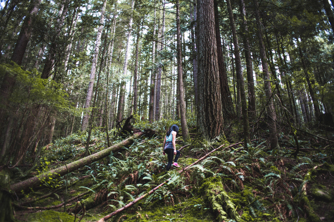Graphic: Hiking is good for you