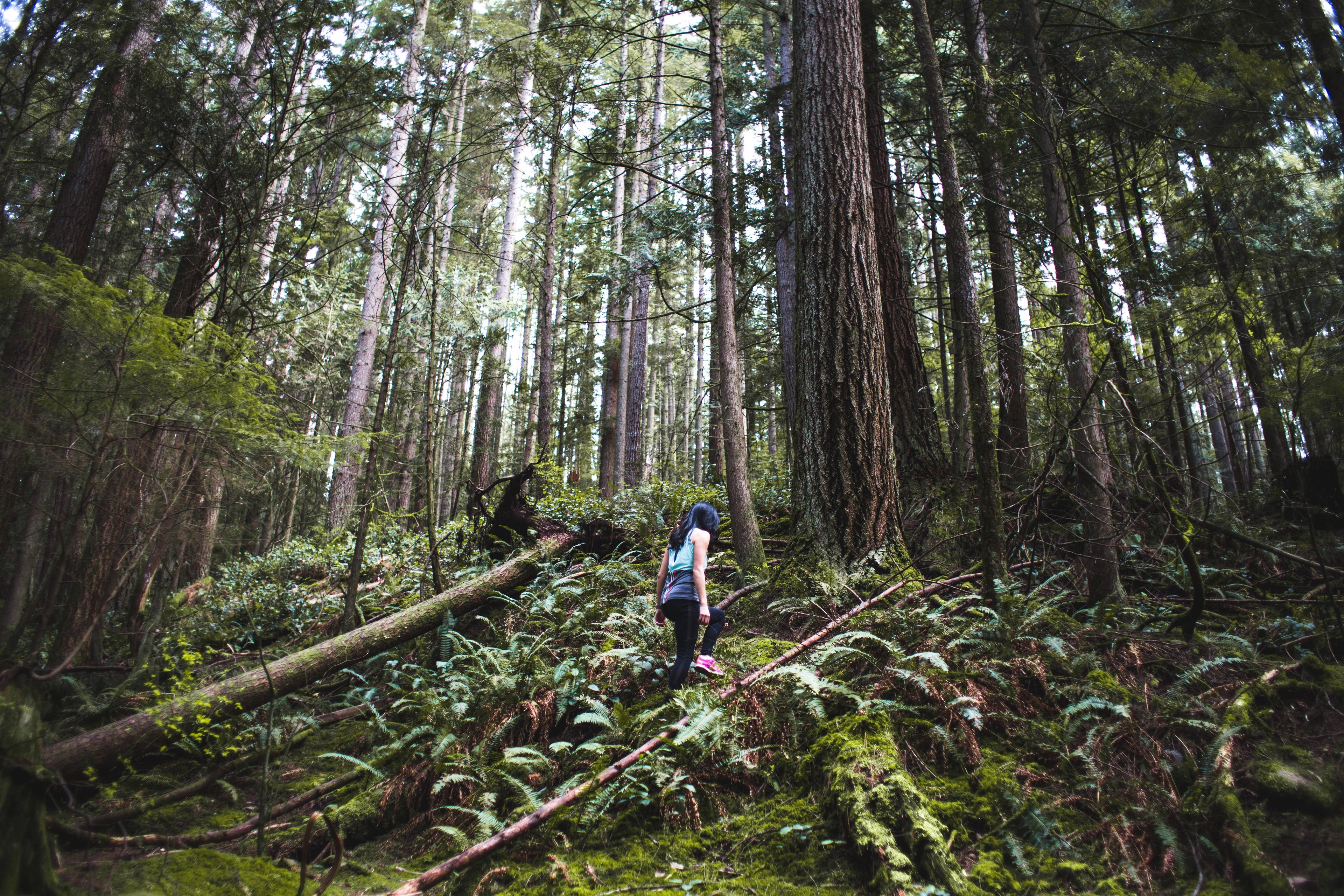 Graphic: Hiking is good for you