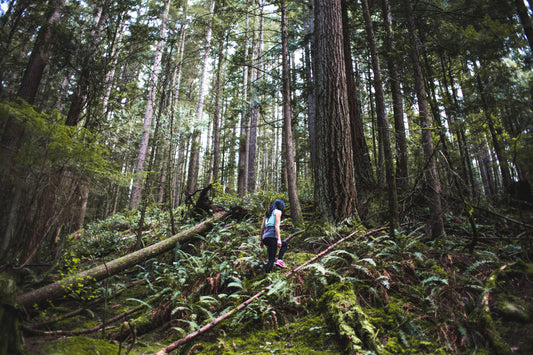 Graphic: Hiking is good for you