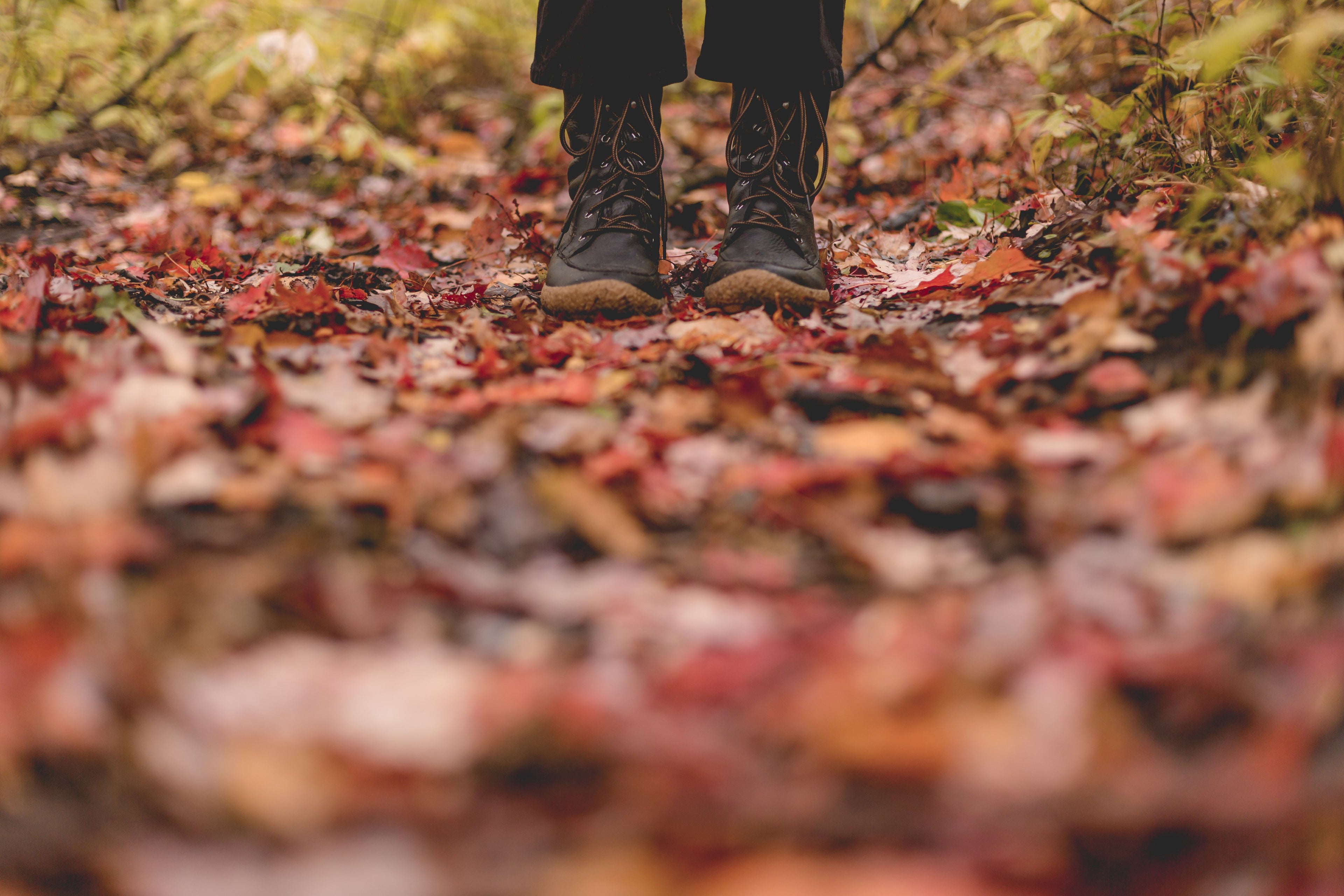 The best autumn hikes in Ohio