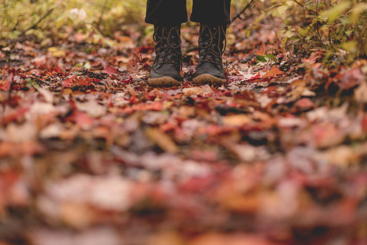 The best autumn hikes in Ohio